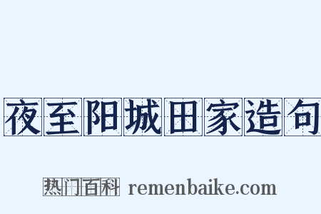 夜至阳城田家造句是什么意思的图片